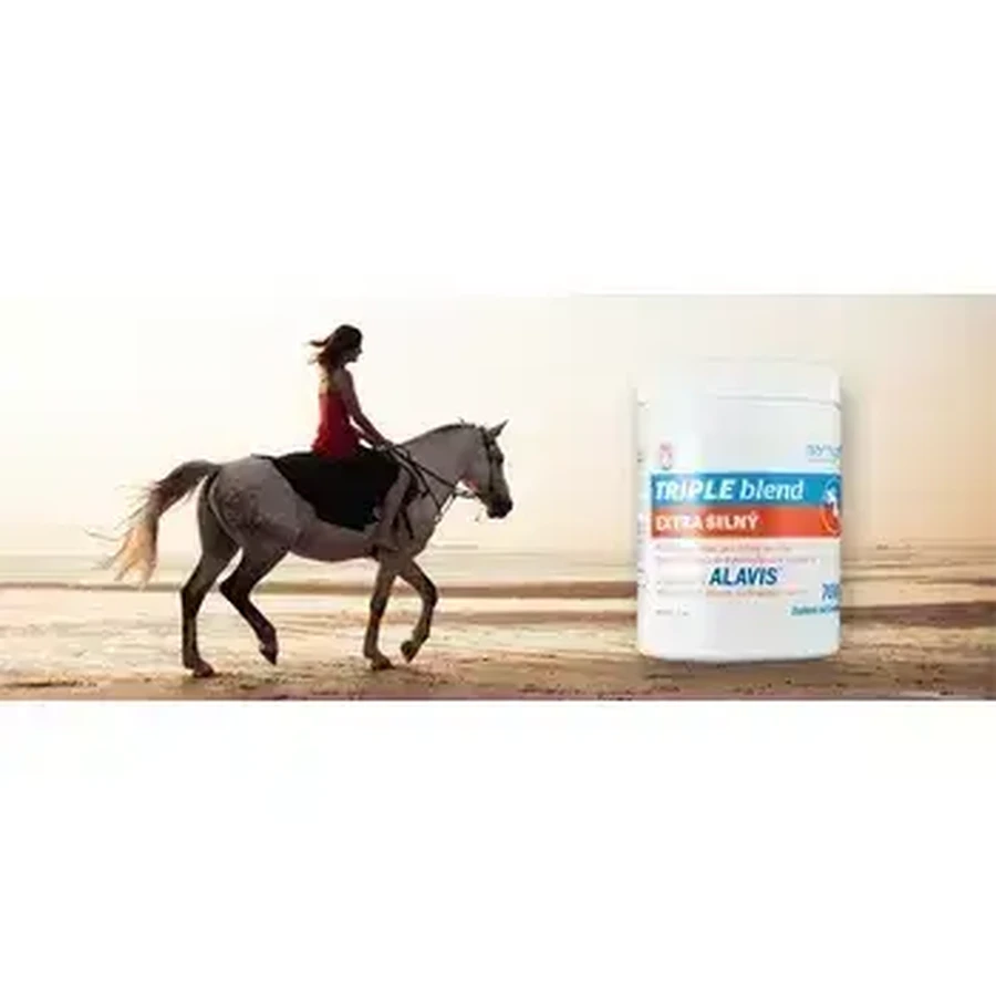 Потрійна суміш Barny's EXTRA STRONG з ароматизатором та підсолоджувачем 700 г: ціни та характеристики