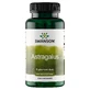 Swanson Full Spectrum Astragalus Root, астрагал, 100 капсул