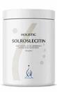 Holistic Solroslecitin соняшниковий лецитин 350г