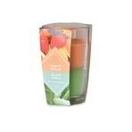 Emocio Скляна свічка 76×118 мм Tasty Fruit & Aloe Vera двоколірна ароматична свічка 1×1 шт, ароматична свічка: ціни та характеристики