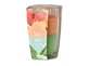 Emocio Glass 76×118 мм Tasty Fruit & Aloe Vera двухцветная ароматическая свеча 1×1 шт, ароматическая свеча