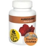 Mycomedica Auricularia 30% Vegan 500 мг 90 капсул 1×90 капсул: ціни та характеристики