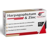 Гарпагофитум и цинк, 40 капсул, FarmaClass