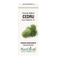 Экстракт Кедра Plant Extrakt Cedru, 50 мл