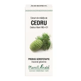Экстракт Кедра Plant Extrakt Cedru, 50 мл