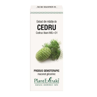 Экстракт Кедра Plant Extrakt Cedru, 50 мл