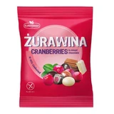 Черника в шоколаде, 70 г, Eurohansa