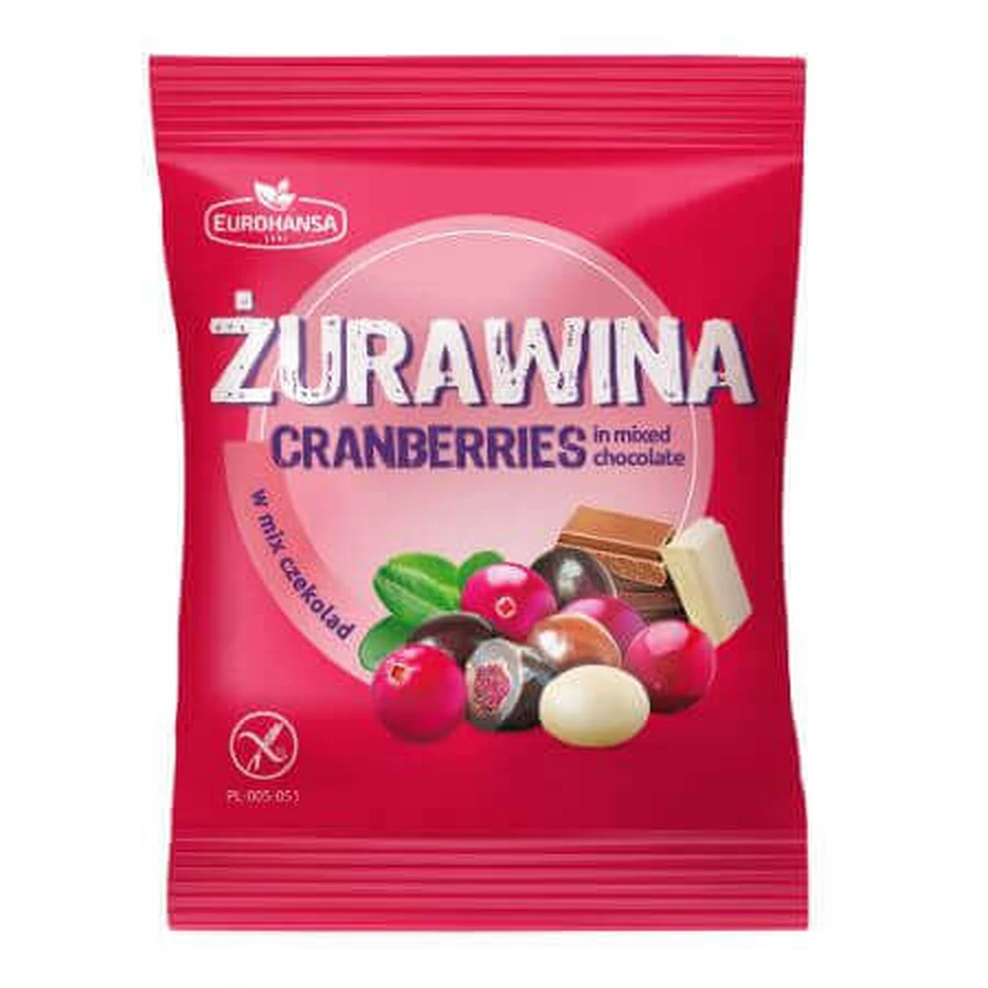 Черника в шоколаде, 70 г, Eurohansa: цены и характеристики
