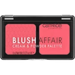 Catrice Blush Affair Cream & Powder Palette, румяна, Stunning Strawberry, 010, 6 г: цены и характеристики