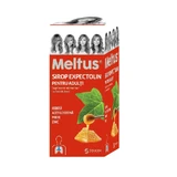 Мелтус Експектолін сироп для дорослих, 100 мл, Solacium Pharma