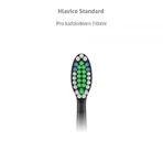 Насадки TrueLife SonicBrush серии K Стандартная черная Сменные насадки 2 шт.: цены и характеристики