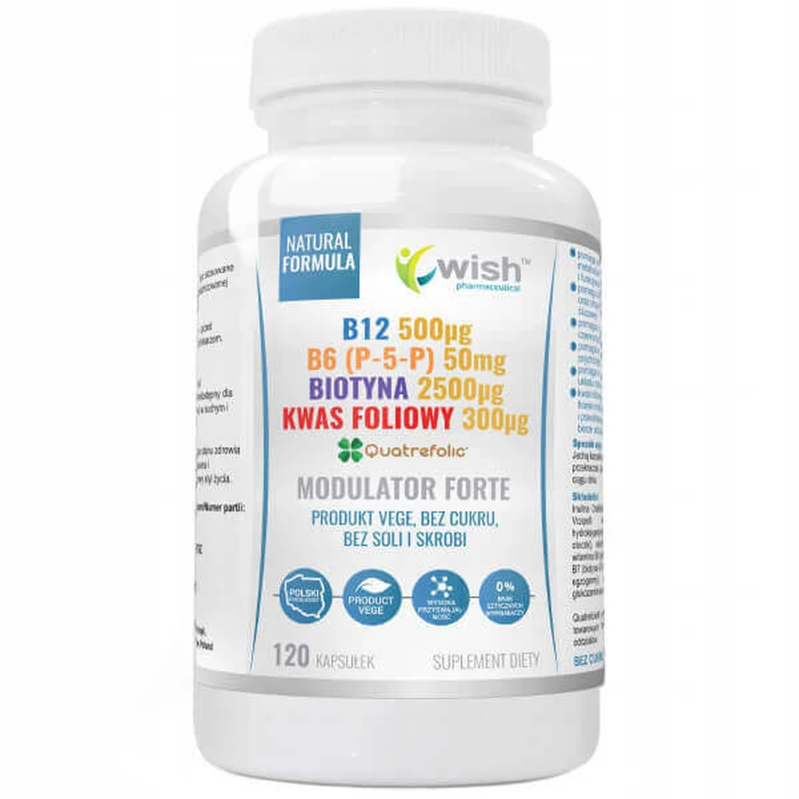 Wish B12 + B6 (P-5-P) + Биотин + Модулятор фолиевой кислоты Форте, 120 капсул: цены и характеристики