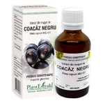 Экстракт почек черной смородины Plant Extrakt, 50 мл: цены и характеристики