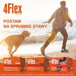Колаген 4Flex, 30 пакетиків: ціни та характеристики