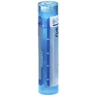 Boiron Hamamelis Virginiana CH9 гранулы 4 г