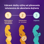 Фемибион 2 Беременность, 28 таблеток и 28 капсул: цены и характеристики
