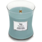 WoodWick Вічнозелений кашемір середня свічка 1×275 г, ароматична свічка: ціни та характеристики