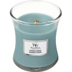 WoodWick Вічнозелений кашемір середня свічка 1×275 г, ароматична свічка: ціни та характеристики