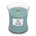 WoodWick Вічнозелений кашемір середня свічка 1×275 г, ароматична свічка: ціни та характеристики