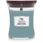 WoodWick Вічнозелений кашемір середня свічка 1×275 г, ароматична свічка: ціни та характеристики