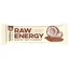 Енергетичний батончик Raw Energy з кокосом та какао, 50 г, Bombus