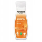 WELEDA ARTIST Лосьон для тела 1×200 мл, лосьон для тела: цены и характеристики