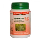 Хвощ, 70 капсул, Favisan
