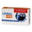 Urimil Memory Box XL  Naturpharma капсули, 45 шт.