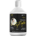 CollagenDrink Коллаген Роял Пептид гидролизованный рыбный коллаген без сахара 500 мл