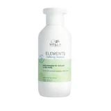 Веганський шампунь для сухої та чутливої шкіри голови Elements Calming, 250 мл, Wella Professionals