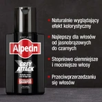 Alpecin Grey Attack Caffeine & Colour, кольоровий шампунь, 200 мл: ціни та характеристики