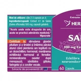 Herbagetica Sage x 60cps