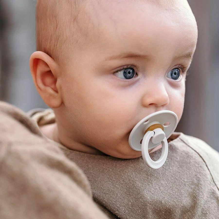 Пустышка BIBS Colour Natural Cocoa - , возраст 3 года, Woodchuck/Blush 2 шт.: цены и характеристики