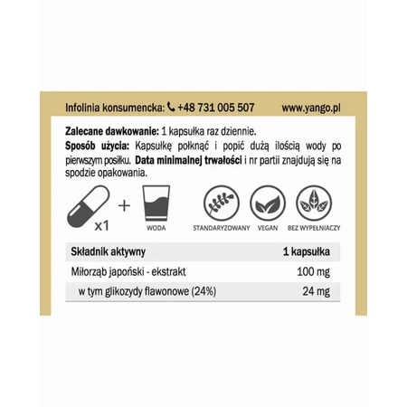 Екстракт гінкго білоба 24% (100 мг 90 капсул) Yango: ціни та характеристики