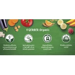 Gerber Органічні пакетики яблуко, банан, чорниця та ожина 100% БІО 6м+ 90 г: ціни та характеристики