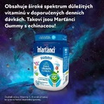 Walmark Gummy Эхинацея 20 мг элатиновые таблетки 50 шт.: цены и характеристики