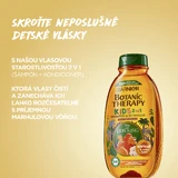 Garnier Botanic Therapy Disney Kids 2в1 Шампунь та кондиціонер Король Лев Абрикос 400 мл