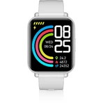 Niceboy Watch 4 Artic silver: ціни та характеристики