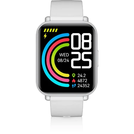 Niceboy Watch 4 Artic silver: ціни та характеристики