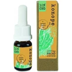 Конопля з 10% CBD в органічній гарбузовій олії - Широкий спектр 1000 г 1×10 мл, гарбузова олія: ціни та характеристики