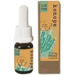 Конопля з 10% CBD в органічній гарбузовій олії - Широкий спектр 1000 г 1×10 мл, гарбузова олія: ціни та характеристики