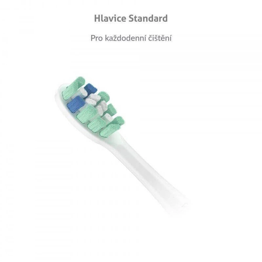 Насадки TrueLife SonicBrush Clean-series Standard белые 2 шт.: цены и характеристики
