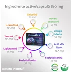 Нейромакс Cosmopharm, 30 + 30 капсул: цены и характеристики