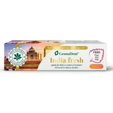 Натуральна зубна паста з німом і куркумою India Fresh GennaDent India Fresh GennaDent, 80 мл, Vivanatura