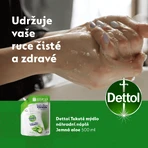 Dettol Рідке мило з алое вера та вітаміном Е 500 мл: ціни та характеристики