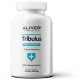 Aliver Nutraceutics Doctor's 1st. choice Tribulus 120 капсул