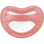 Curaprox Baby Soother от 1 до 2,5 лет, возраст 1 год, коралловый: цены и характеристики