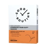 Synergise Your Gut Immuno, 10 пакетиков, Good Routine