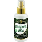 PURITY VISION Bio Соснова вода 100 мл 1×100 мл, соснова вода: ціни та характеристики
