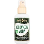 PURITY VISION Bio Соснова вода 100 мл 1×100 мл, соснова вода: ціни та характеристики